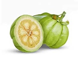 What Is Garcinia Cambogia