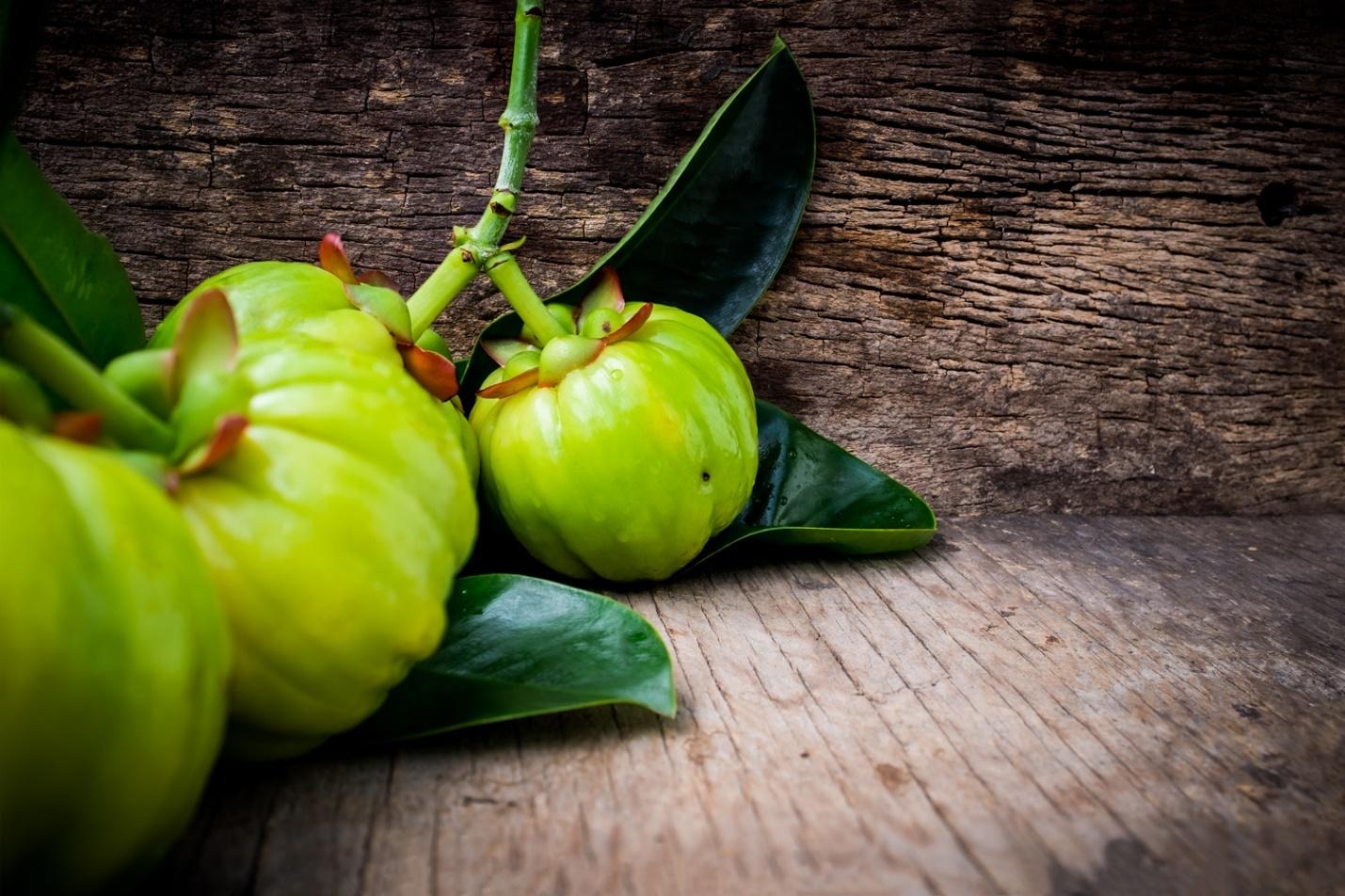 Garcinia Cambogia Extract